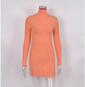 High Collar Long Sleeve Bodycon Mini Dress - LEPITON